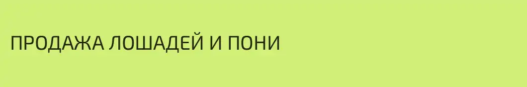 ПРОДАЖА ЛОШАДЕЙ И ПОНИ